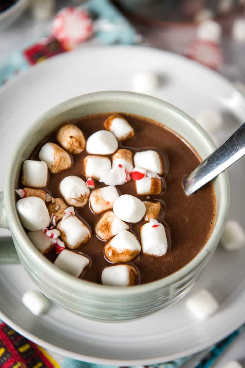 light blue mug of homemade hot chocolate with mini marshmallows and peppermint, sitting on gray plate