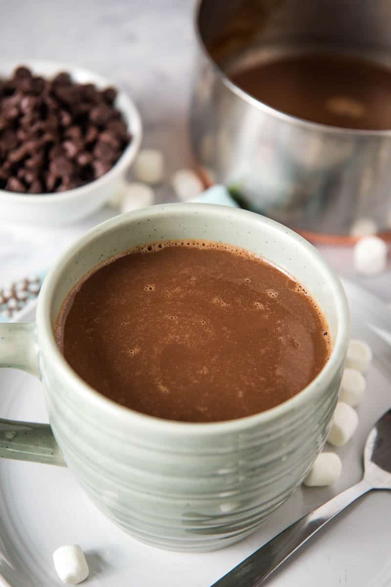 light blue mug of hot cocoa with chocolate chips, sitting on gray plate with mini marshmallows